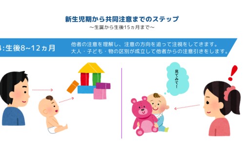 海马煲什么汤补肾壮阳